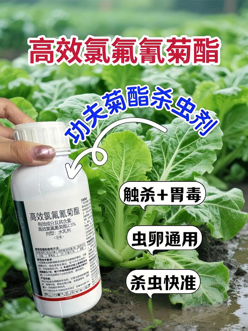 安康代生中心:农药对供卵代生妈妈的危害